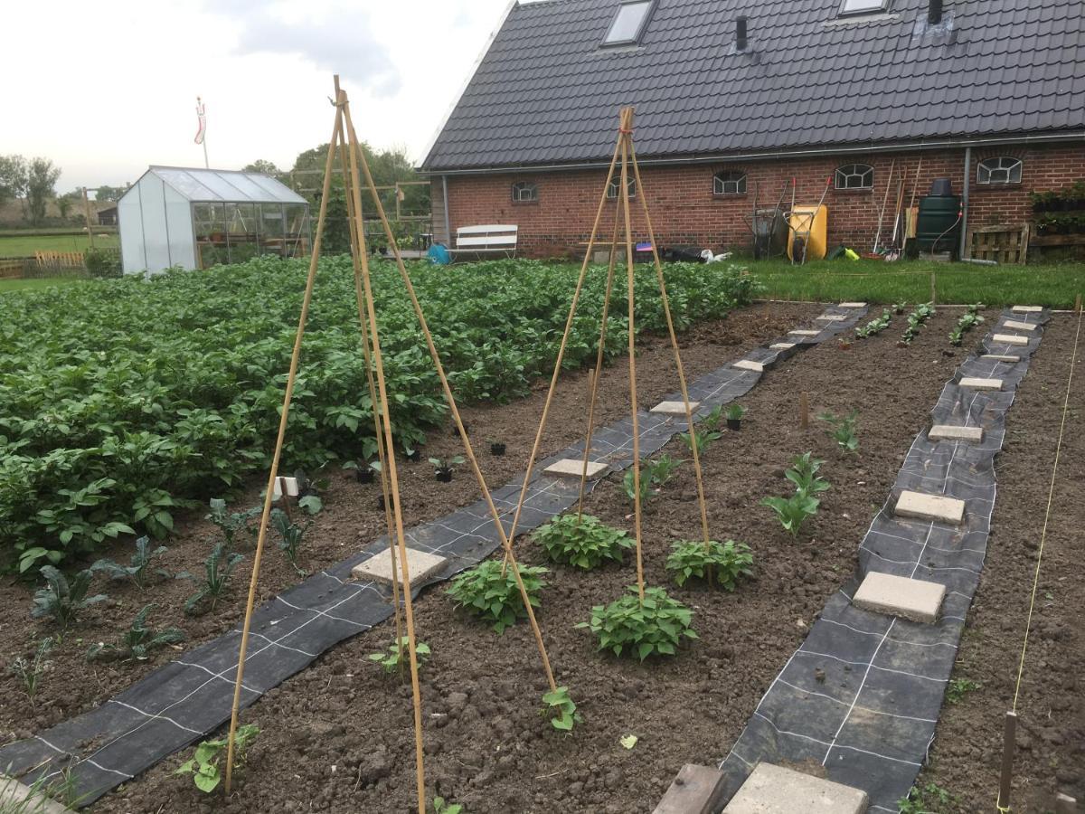 Onder De Boom Bed and Breakfast Gerkesklooster Exteriör bild
